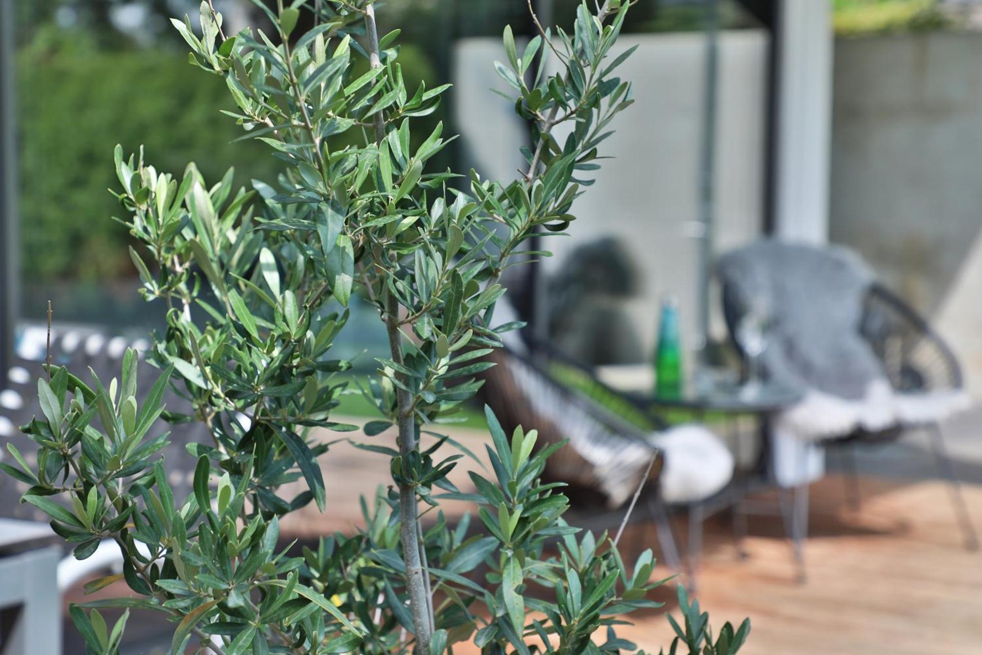 Modernes Studio-Apartment Gersthofen Luaran gambar
